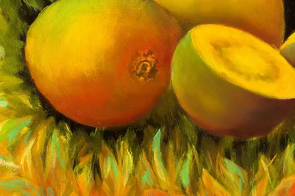 Mariusz Krzysztof Aniśko - kiwis