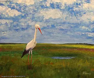 Krzysztof Iwin - Klekot