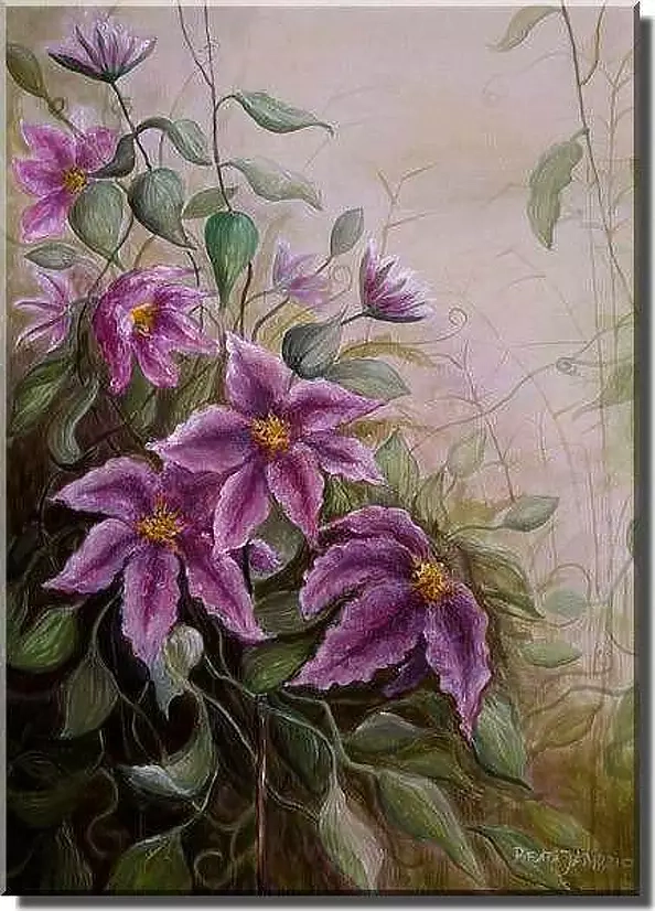 Beata Jańdzio - Klematis