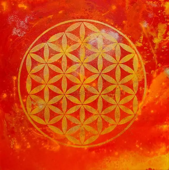 Karolina Dyonizy - Koan the Shield