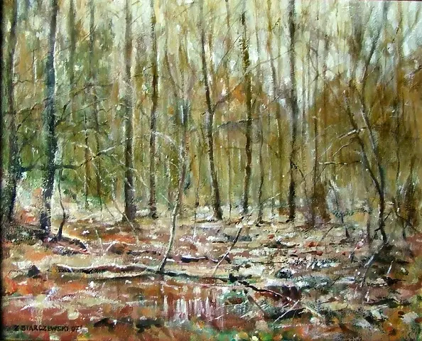 Zbigniew Starczewski - Kobiórski forest
