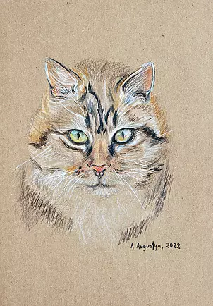 Amelia Augustyn - Koci portret