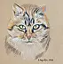 Amelia Augustyn - Portrait of a cat