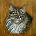 Katarzyna Niemczak - Kitten