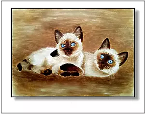 Jolanta Dusza - kittens Thai