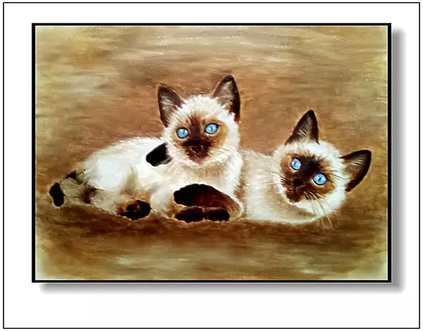 Jolanta Dusza - kittens Thai