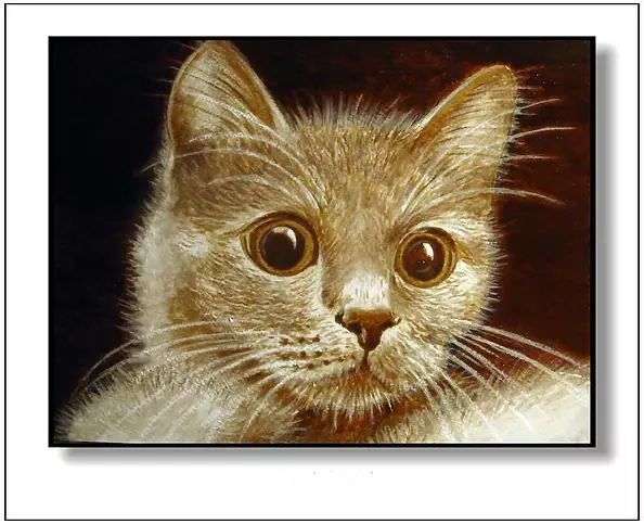 Jolanta Dusza - Cat's eyes