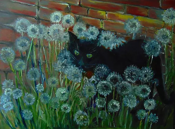 Helga Maria RADOCHOŃSKA - Cat penetrations