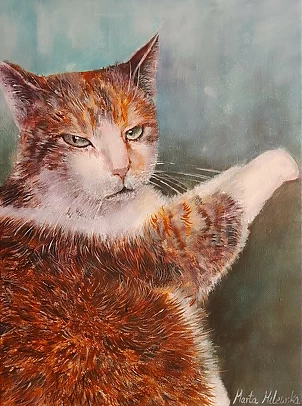 Marta Milewska - Kocie spojrzenie 