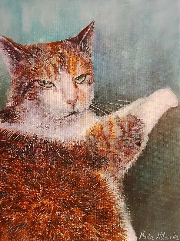 Marta Milewska - Kocie spojrzenie 