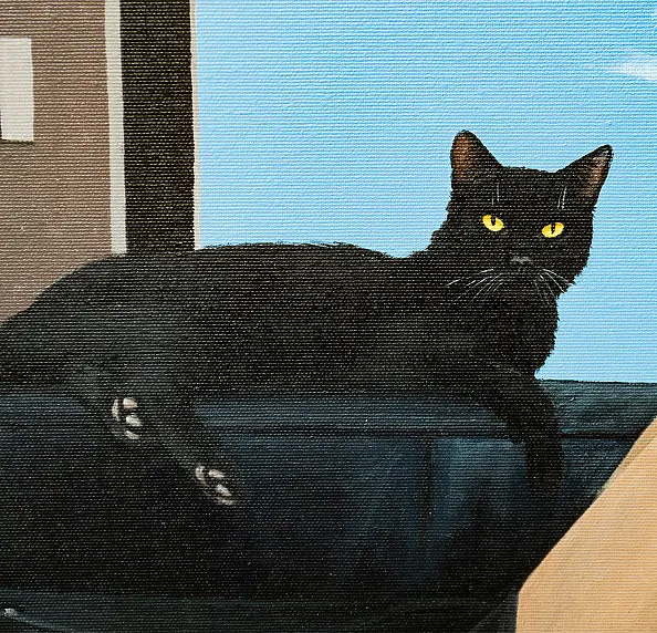 Nataliya Bagatskaya - Cat therapy