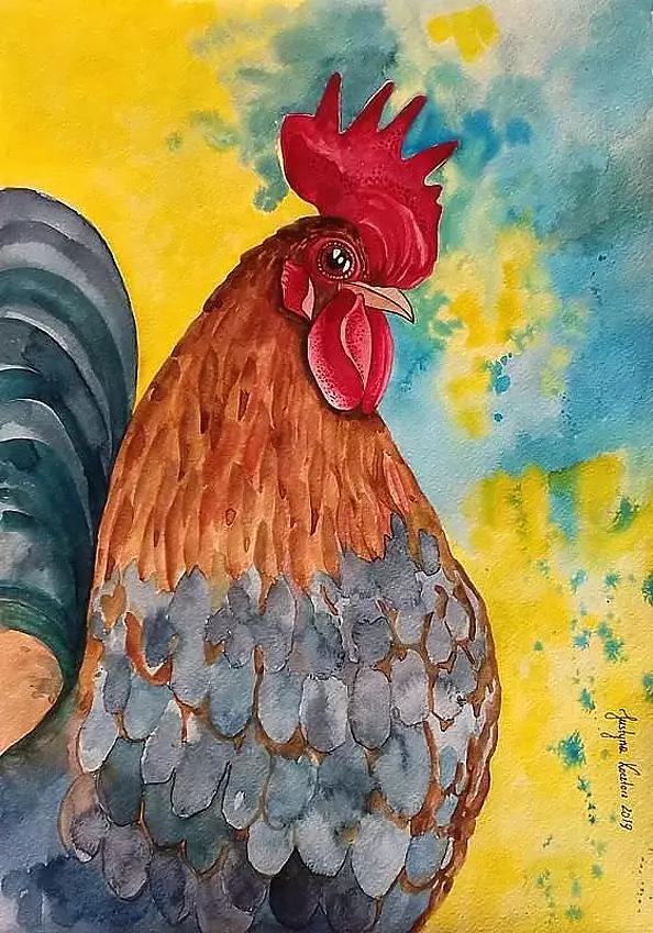 Justyna Kocztorz - Cockerel