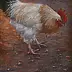 Alina Sibera - Rooster
