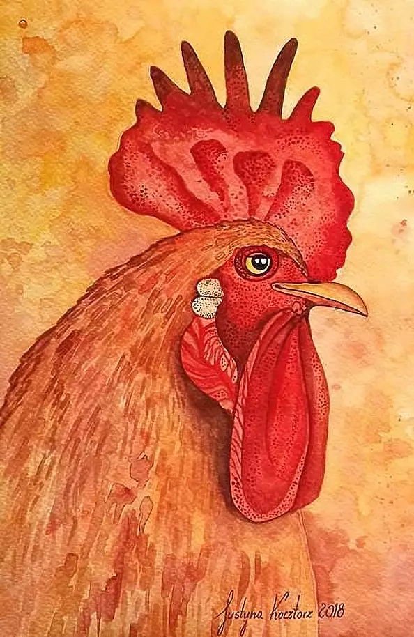Justyna Kocztorz - Rooster
