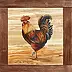 Katarzyna Niemczak - Rooster