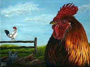   - Rooster