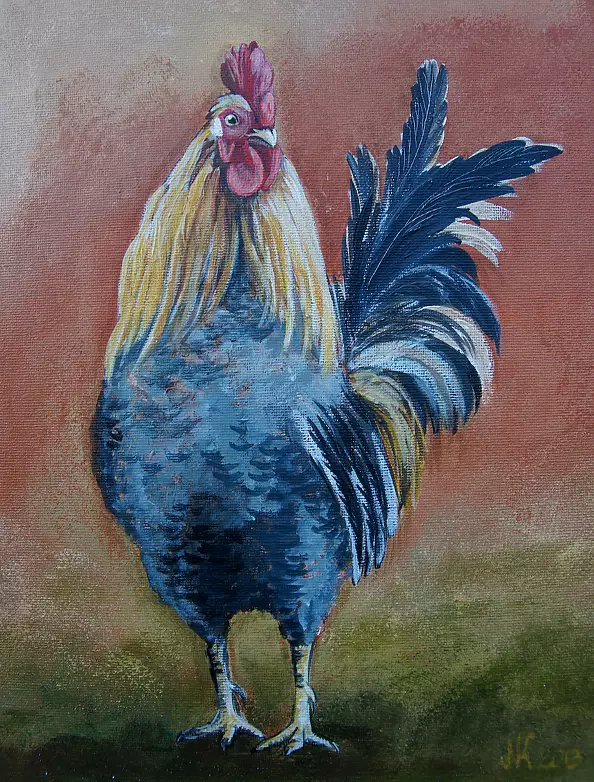 Katarzyna Niemczak - Kogutek