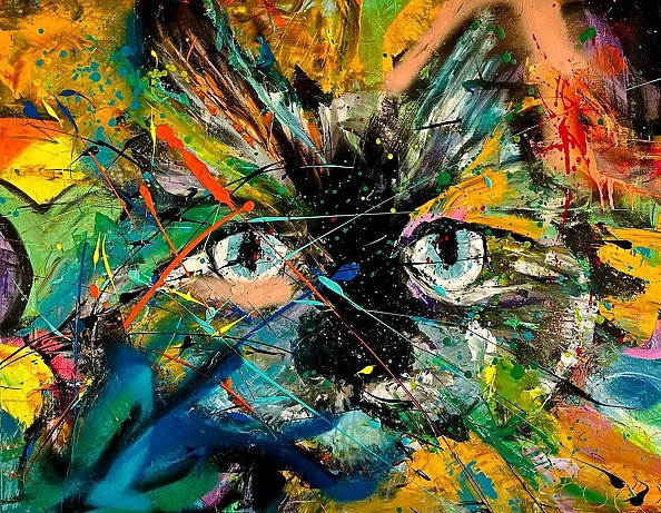 Magdalena Kielb - Coconut the CAT