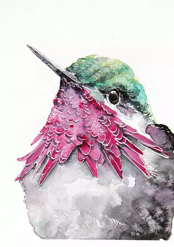 Karolina Kijak - Humming-bird