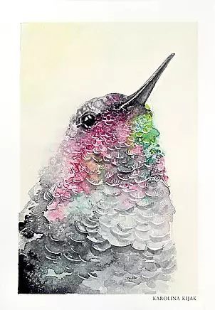   - hummingbird portrait