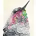 Karolina Kijak - hummingbird portrait