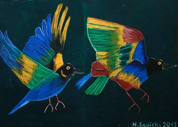 Wiesław Sawicki - Kolorowe ptaki