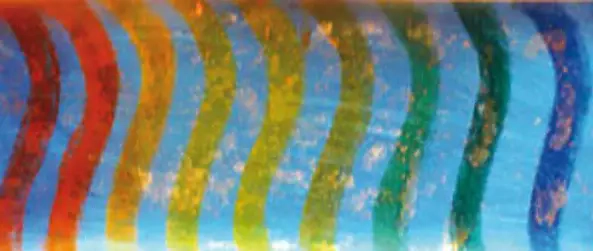 Wiesława Dittwald - Water colors