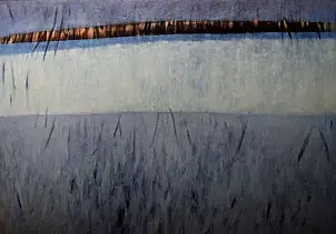 Krystyna Wołowska - Komplementarnie