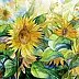 Tomasz Olszewski - Zusammensetzung - Sonnenblumen