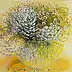Joanna Brzostowska - Composition with chamomiles