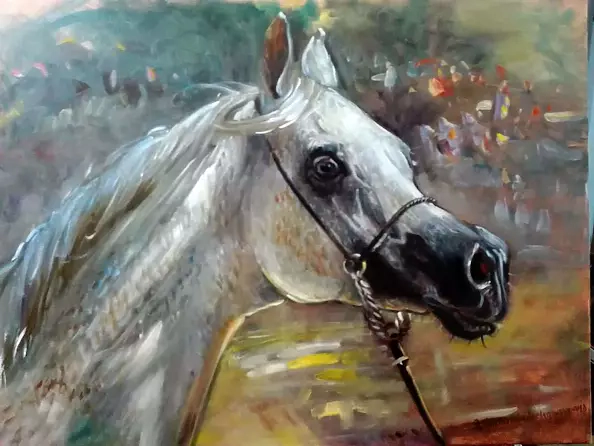 Dorota Goleniewska Szelągowska - Koń 1