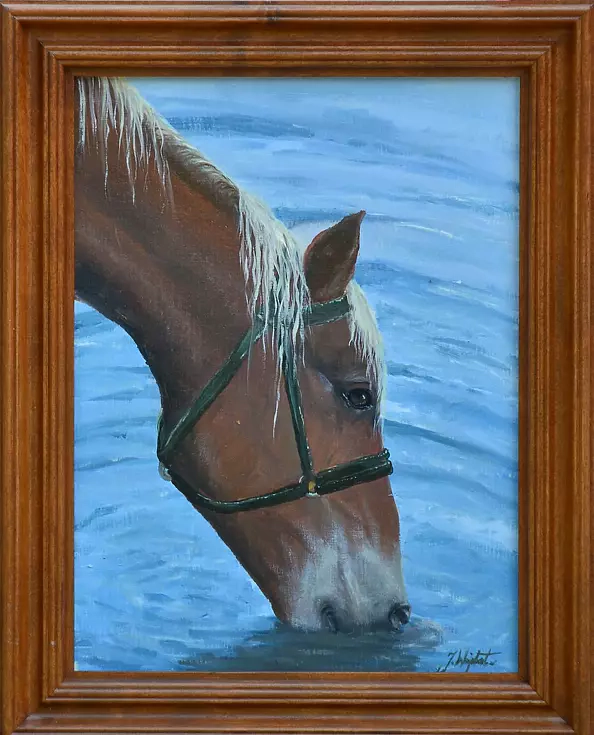 Janina Wojdat - Koń   1