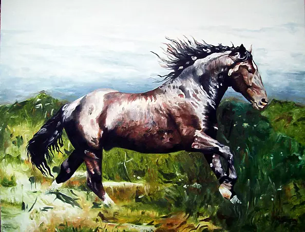 Maciej Porębny - Koń 1