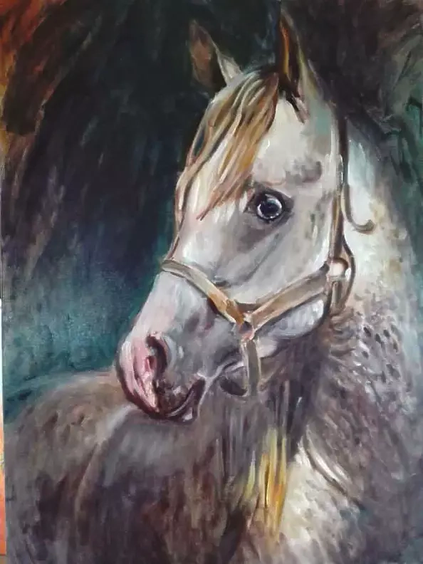 Dorota Goleniewska Szelągowska - Koń 3