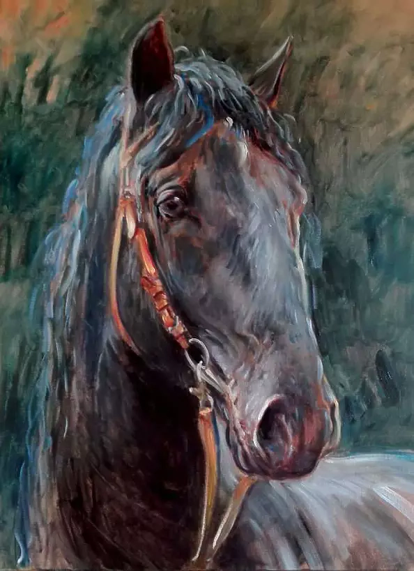 Dorota Goleniewska Szelągowska - Koń 4