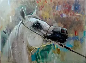 Dorota Goleniewska Szelągowska - Horse 5