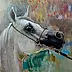 Dorota Goleniewska Szelągowska - Horse 5
