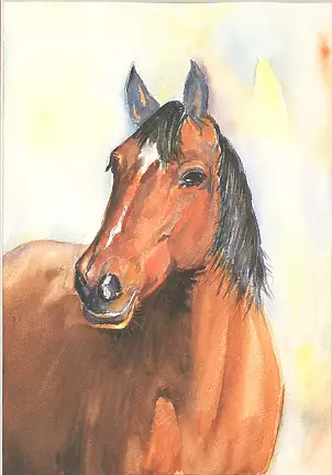 Zdzisław Rutkowski - Koń III