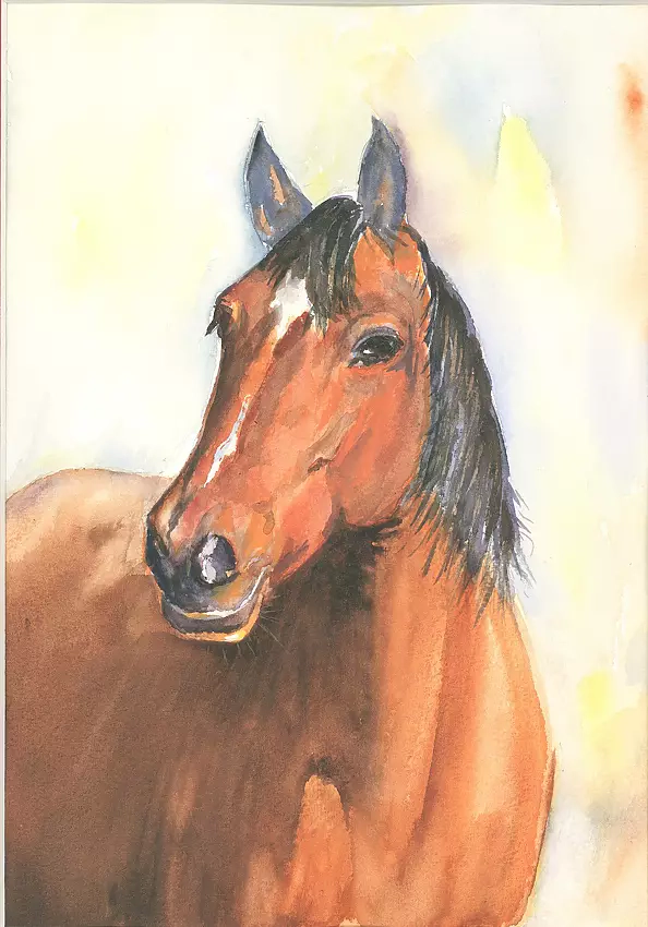 Zdzisław Rutkowski - Koń III