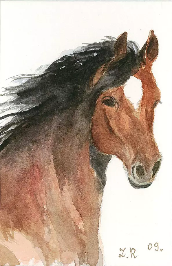 Zdzisław Rutkowski - Koń IV