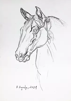 Amelia Augustyn - Koń (studium)