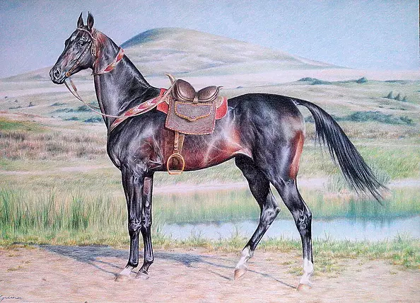 Ewelina Greiner - Paint Horse, Turkmen