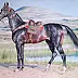 Ewelina Greiner - Краска лошадь, туркмен