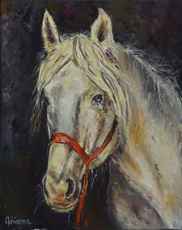 Adrianna Rowecka - Koń