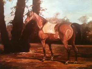 Marek Kubski - Koń angielski