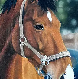 Aleksandra Pałasz - Horse