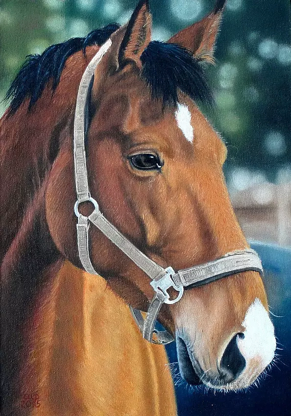 Aleksandra Pałasz - Horse