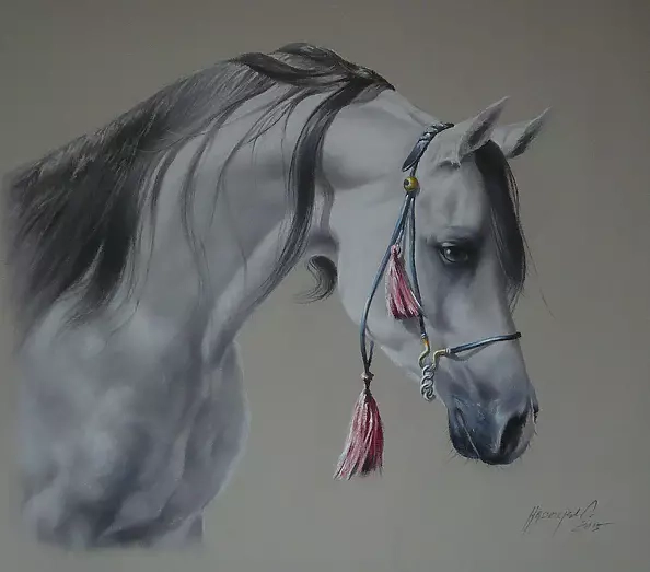 Jarosław Jędrzejski - arab horse