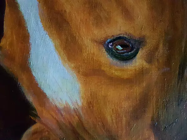 Bożena Mozolewska - Koń