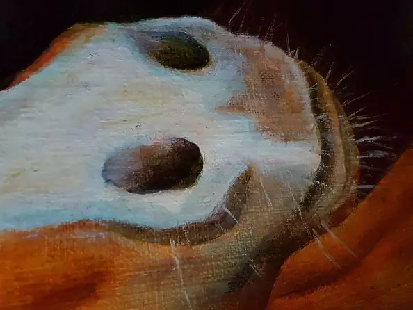 Bożena Mozolewska - Koń